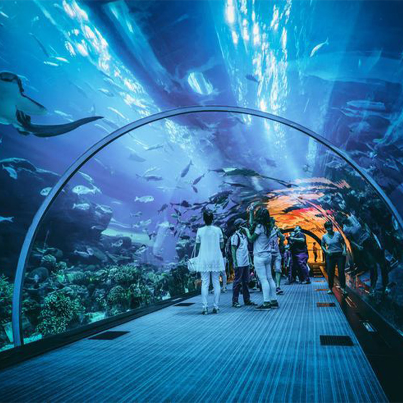 Dubai Dolphinarium