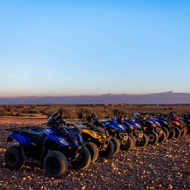 Thrilling Evening Desert Safari with Exciting Quad Bike Adventure